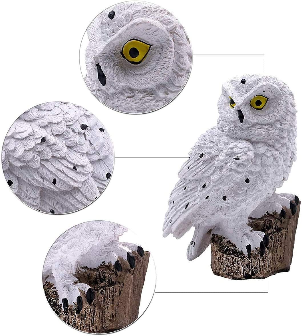 Zavelli™ | Lampada Solare Gufo